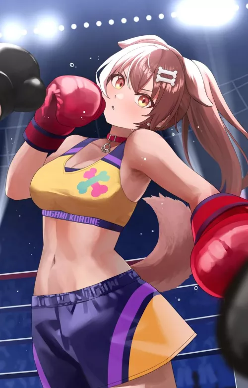 Boxer Korone [Hololive]