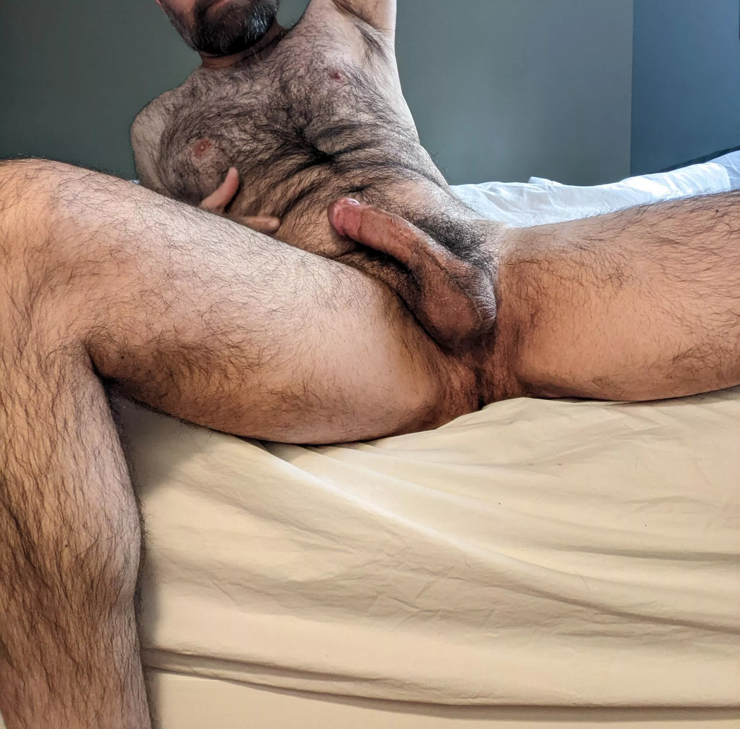 First Furry Post - Hairy Married Bator