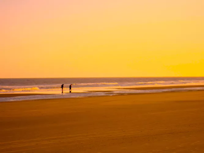 Golden Eve at Isle of Palms