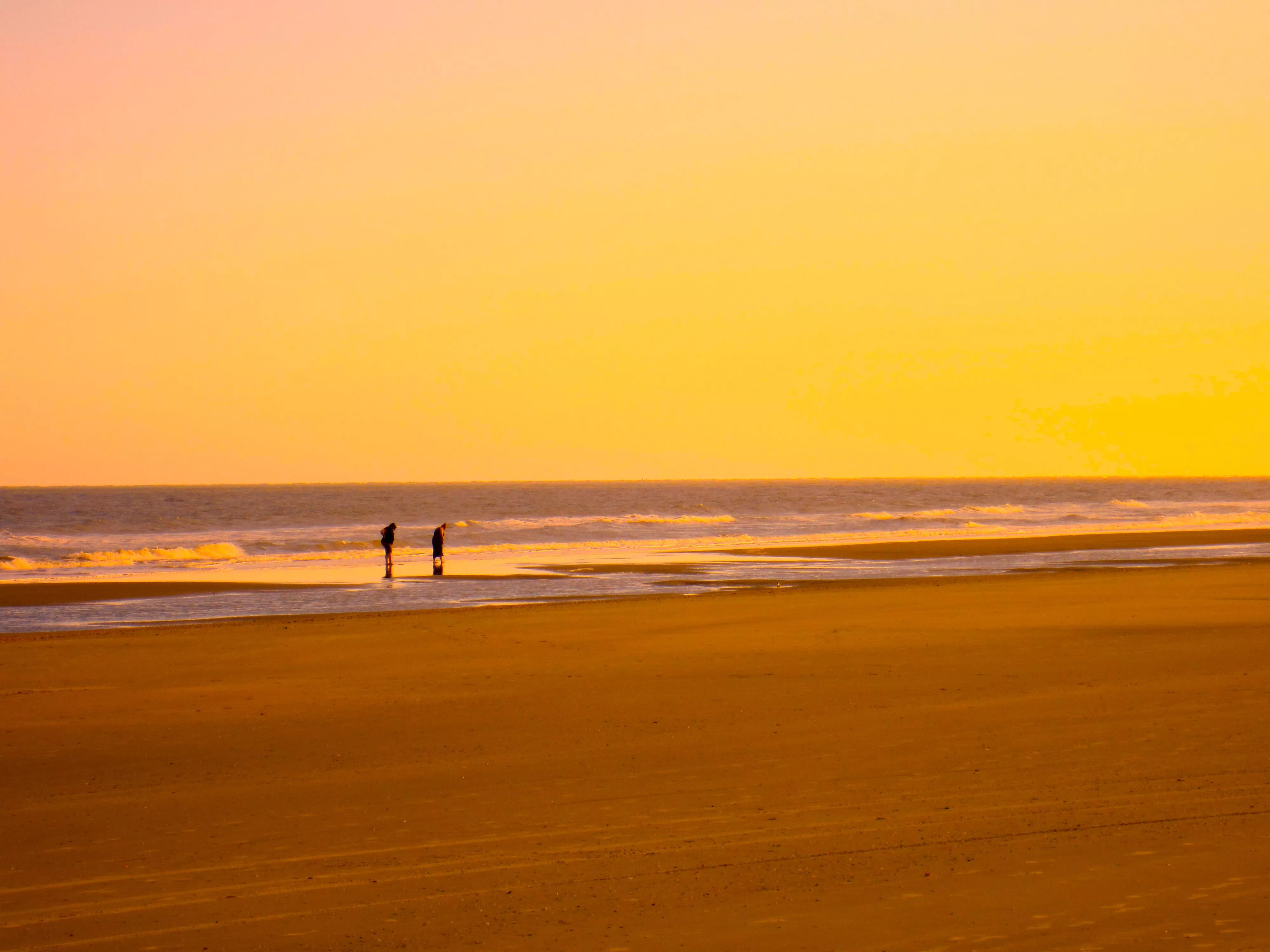 Golden Eve at Isle of Palms