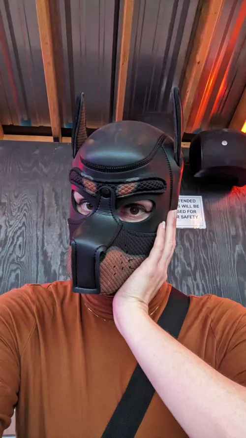 Have you heard the bark with the highest pitch? Pup Satin's off leash – that's me, your bitch! 🐶💕 Suspend all your fright 'cause good girls 👉🏼never👈🏼 bite!