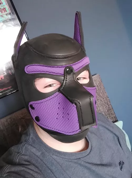 Hii all I just joined :3