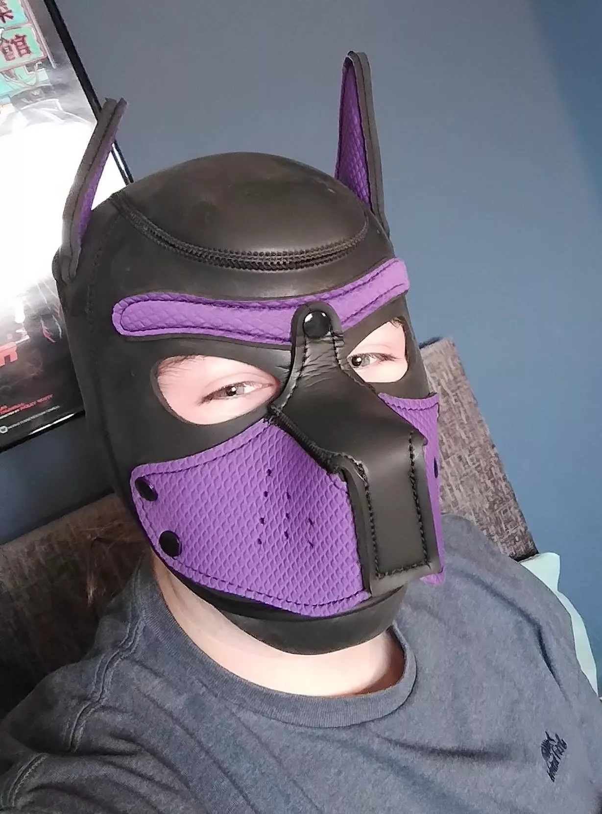 Hii all I just joined :3