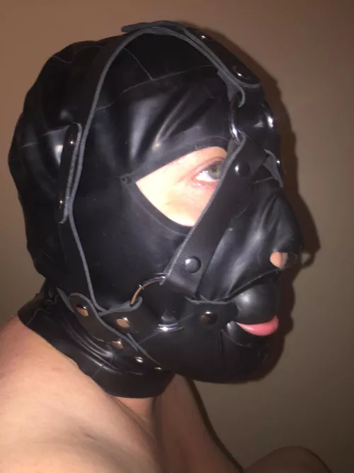 Hooded and harness gagged