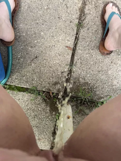 Hope my neighbors didn’t notice