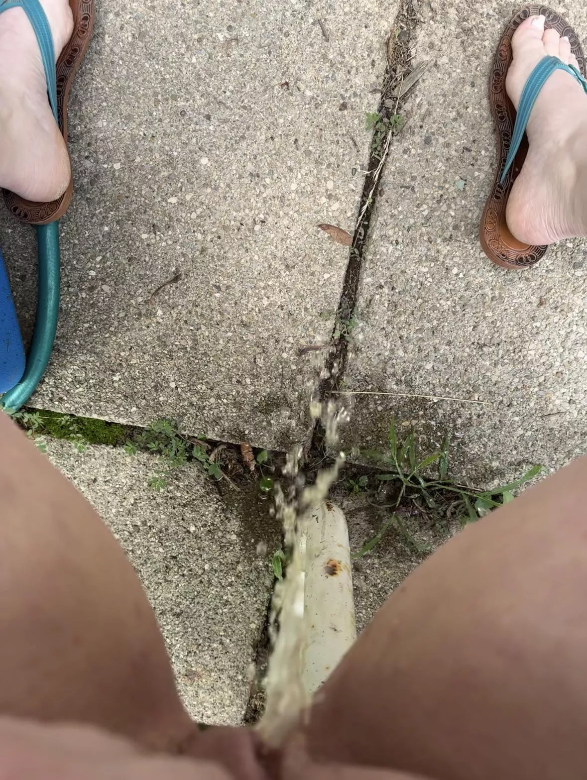 Hope my neighbors didn’t notice