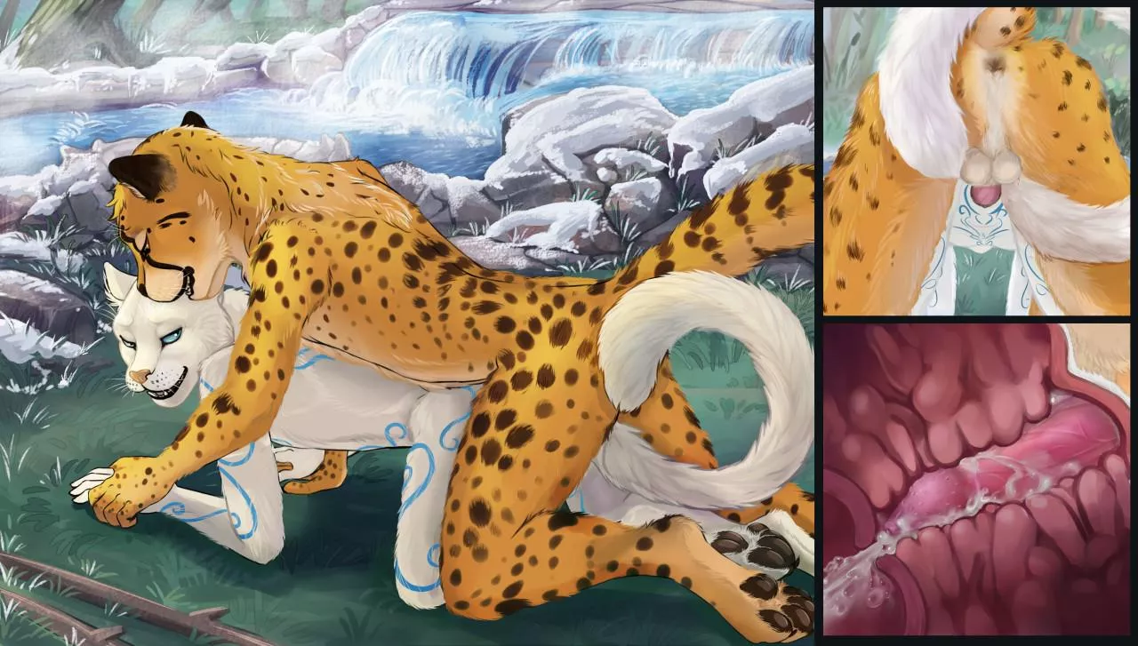 Hot springs (marcaneg) [MF]