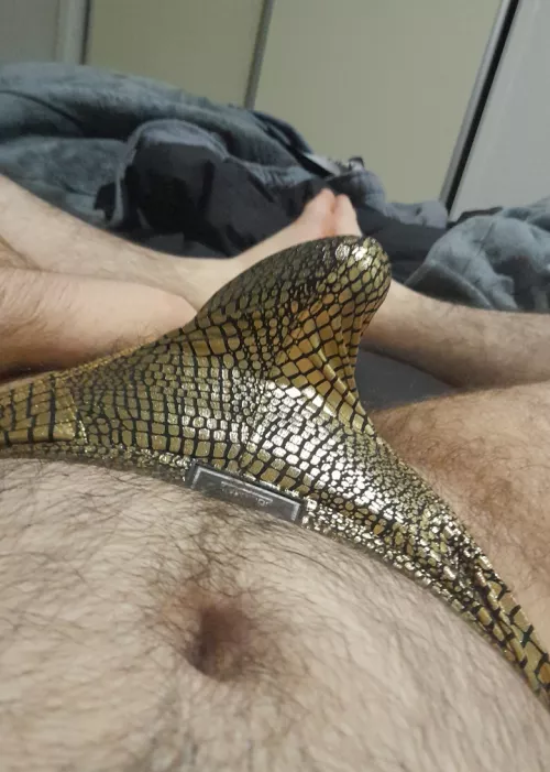 How's this gold thong look? (20)