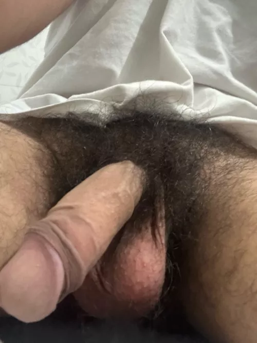 I’m considering shaving them. Any suggestions? 