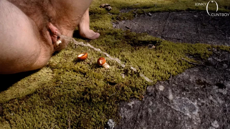 In the forest my big hairy cunt is pushing out mushrooms till it gives in and lets out piss