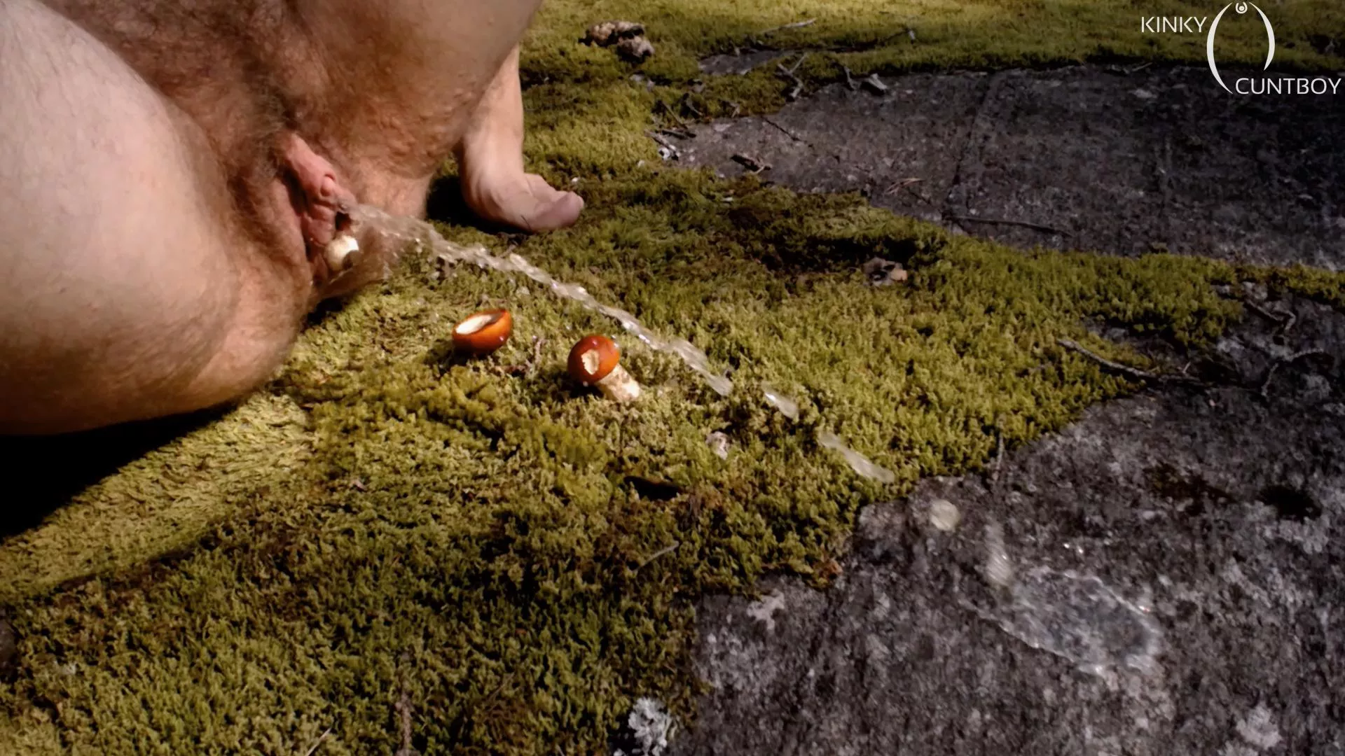 In the forest my big hairy cunt is pushing out mushrooms till it gives in and lets out piss