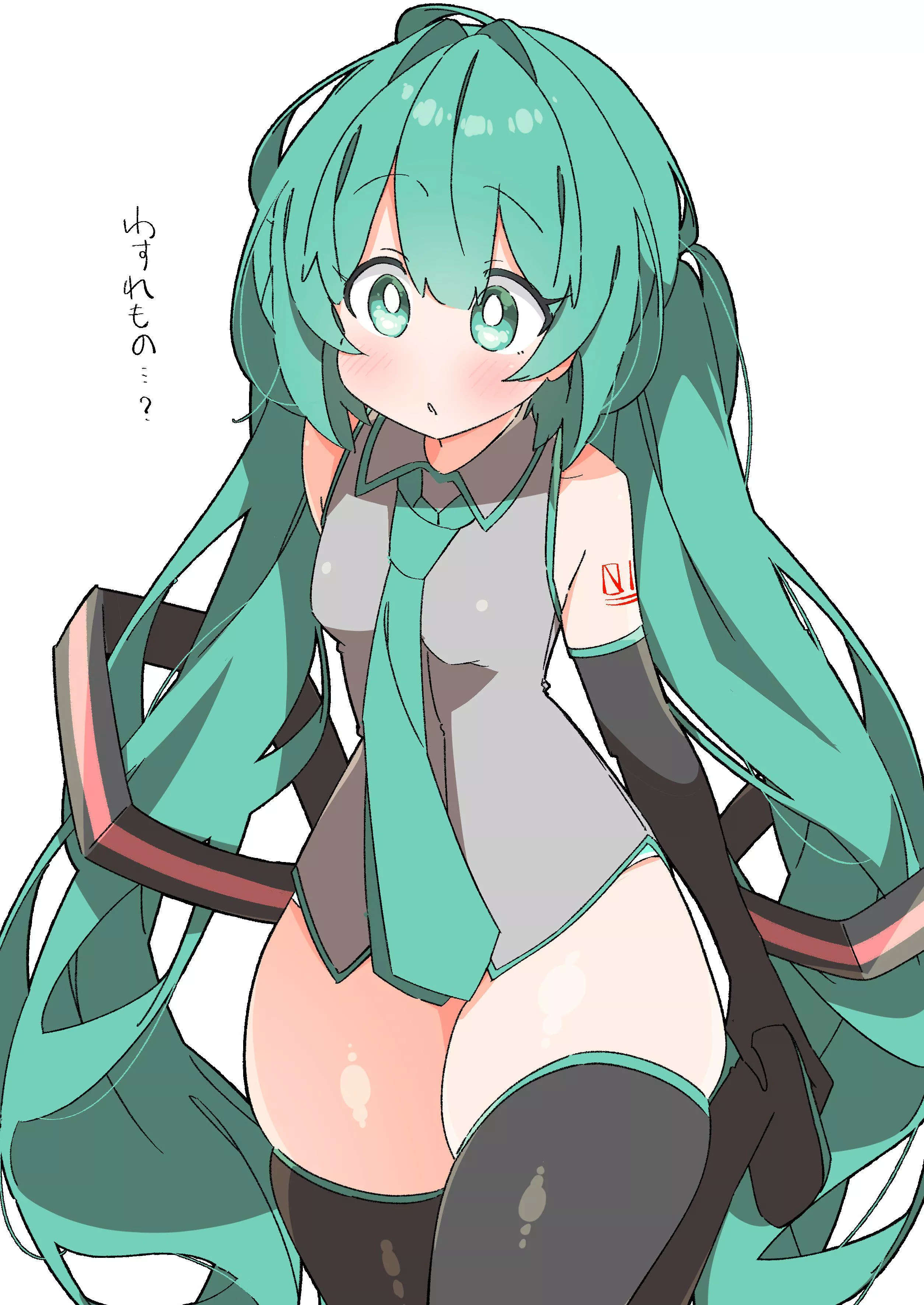 Miku without her skirt
