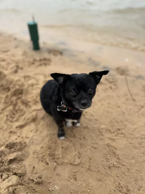 Peak Oklahoma beach (she doesn’t have an OF)