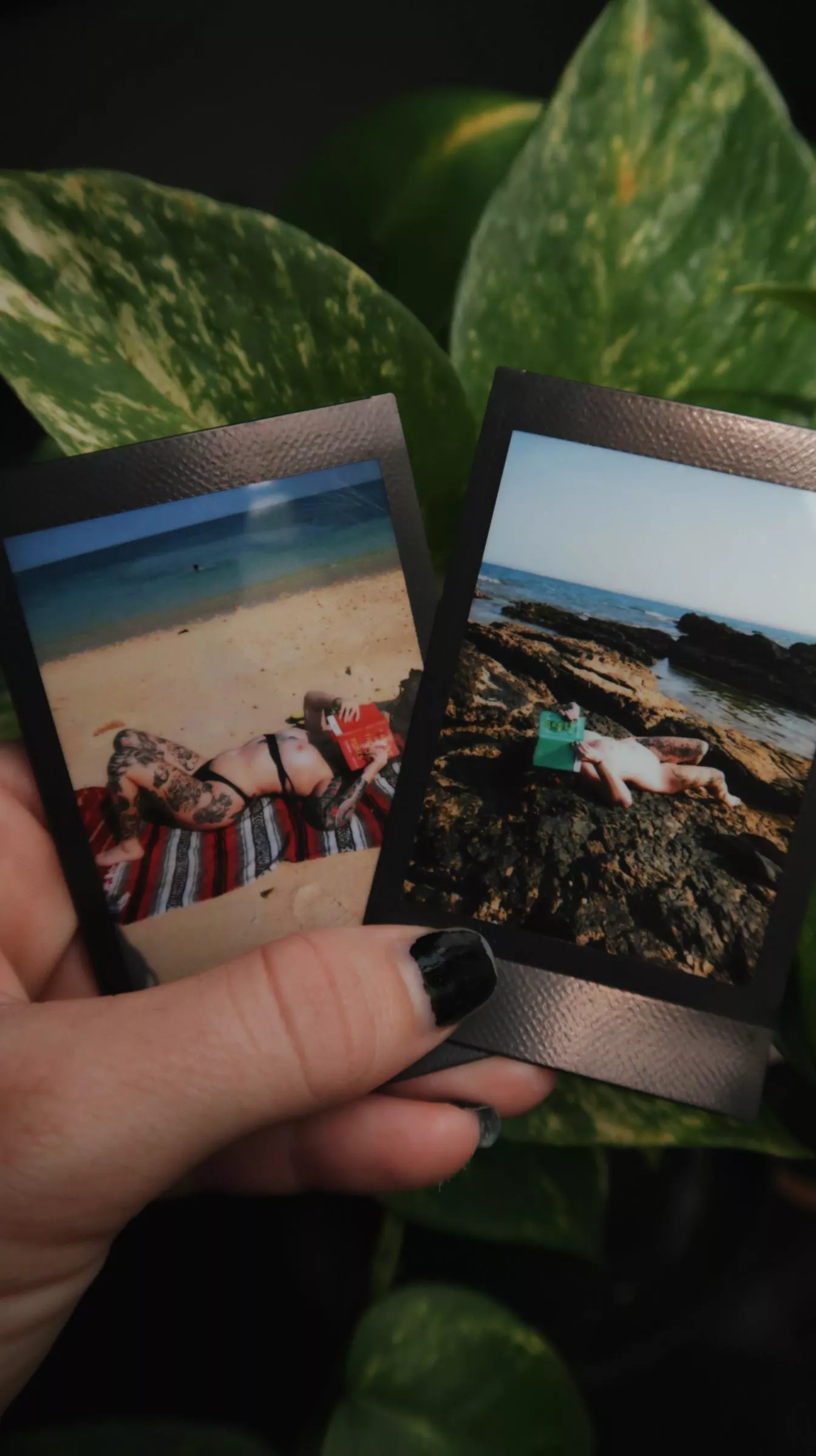 polaroids from may last year