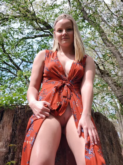 Simp fairy of the woods