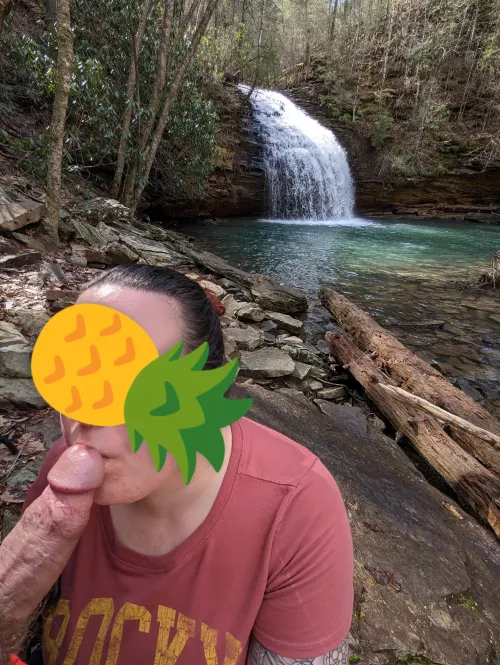Stinging fork falls shenanigans 