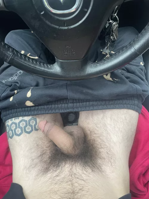 Taking photos in the car is the best