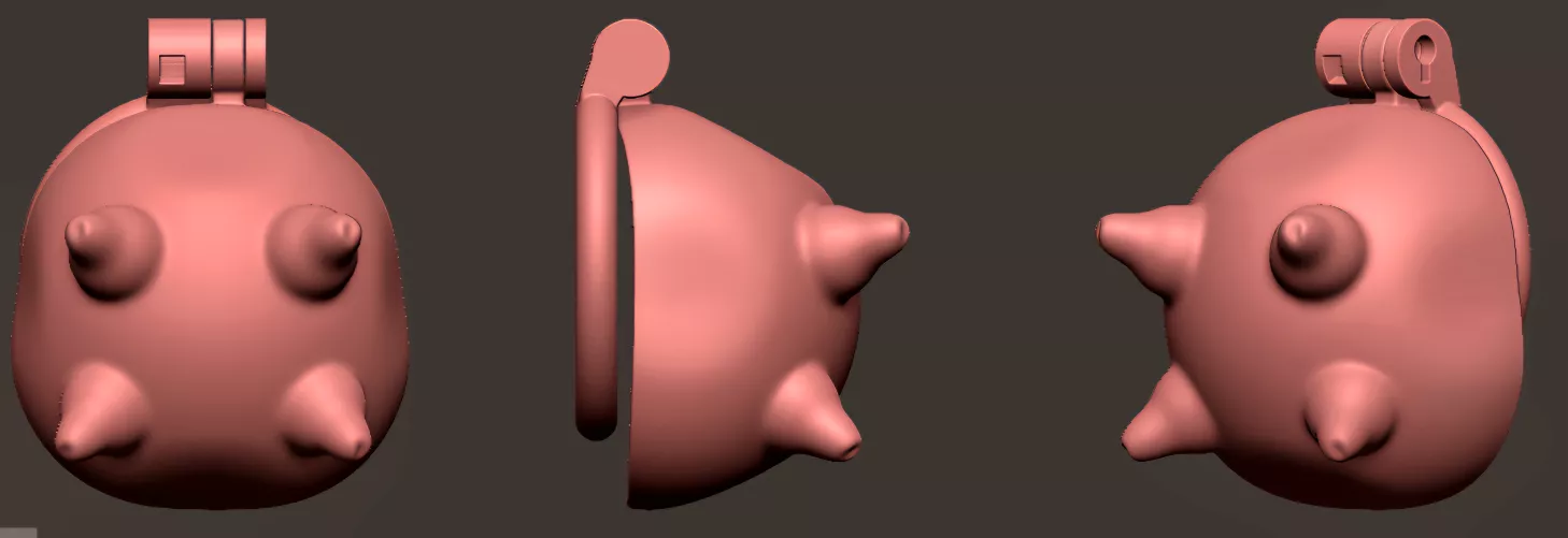 Udder Chastity Cage design