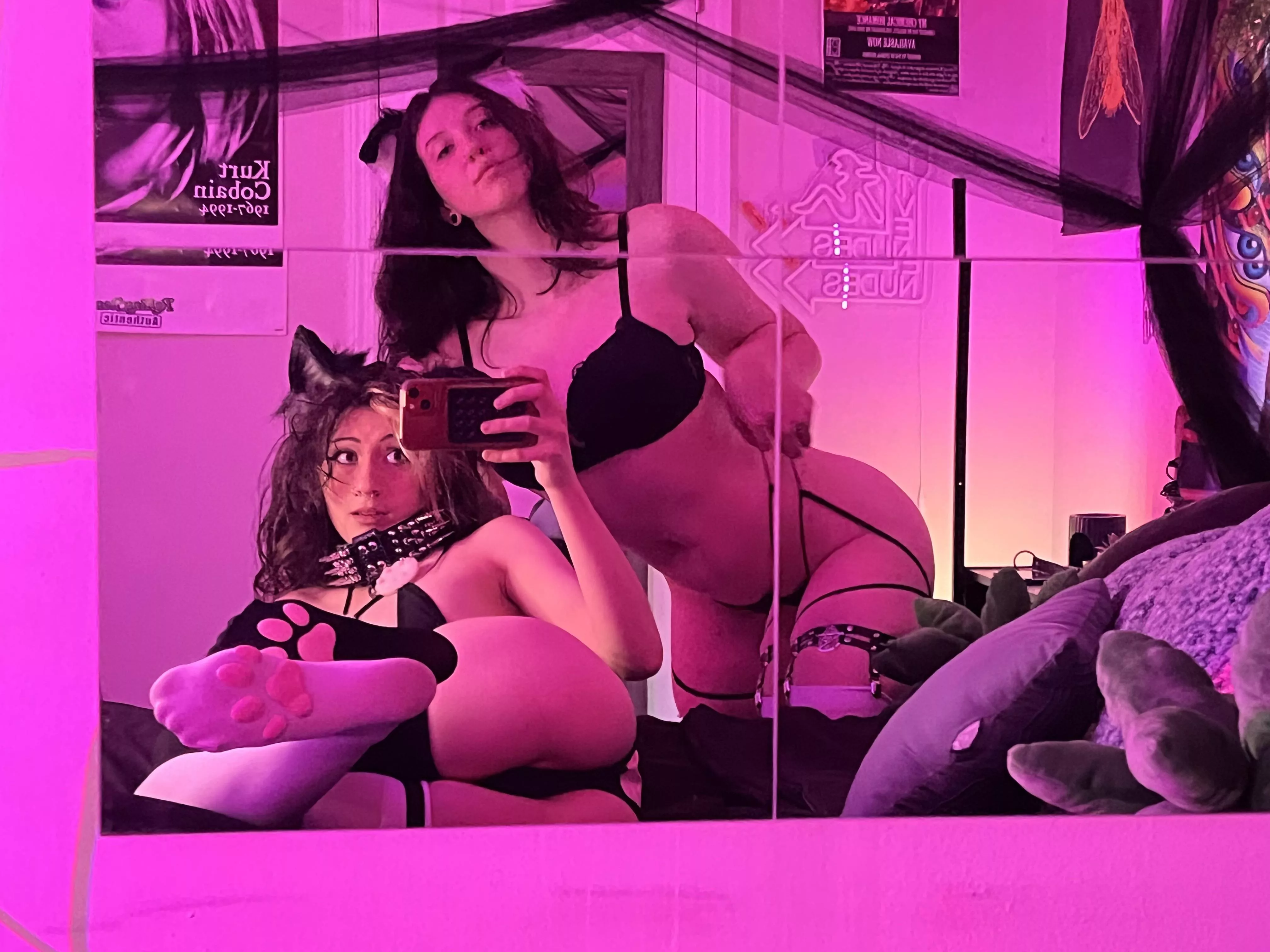 We play nice, we promise!