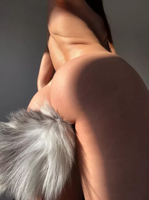 What's cuter than a locked cage and a tail plug?