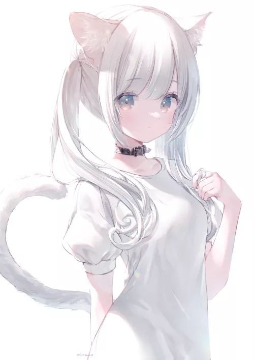 White haired cat [Miyashiro]