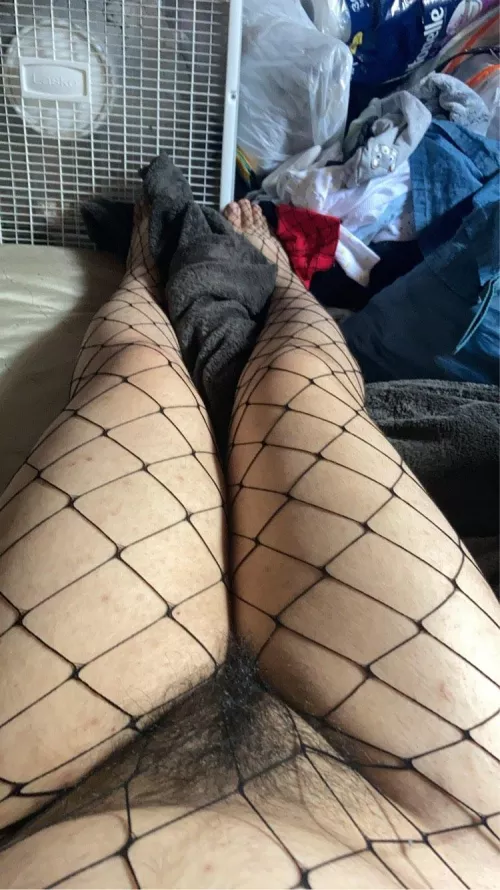 Wouldn't you love to put your face [h]ere?