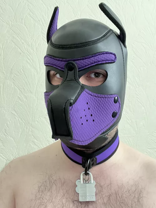 Wruff! New lock! 🔒🐶⛓️
