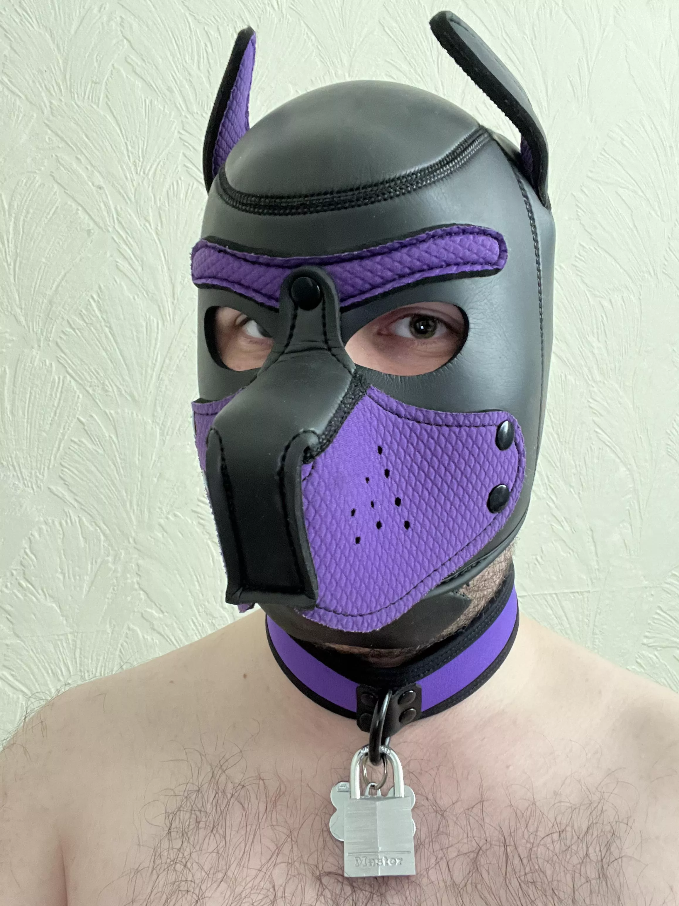 Wruff! New lock! 🔒🐶⛓️