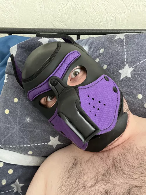 Pets? Awroo? 🐶✨