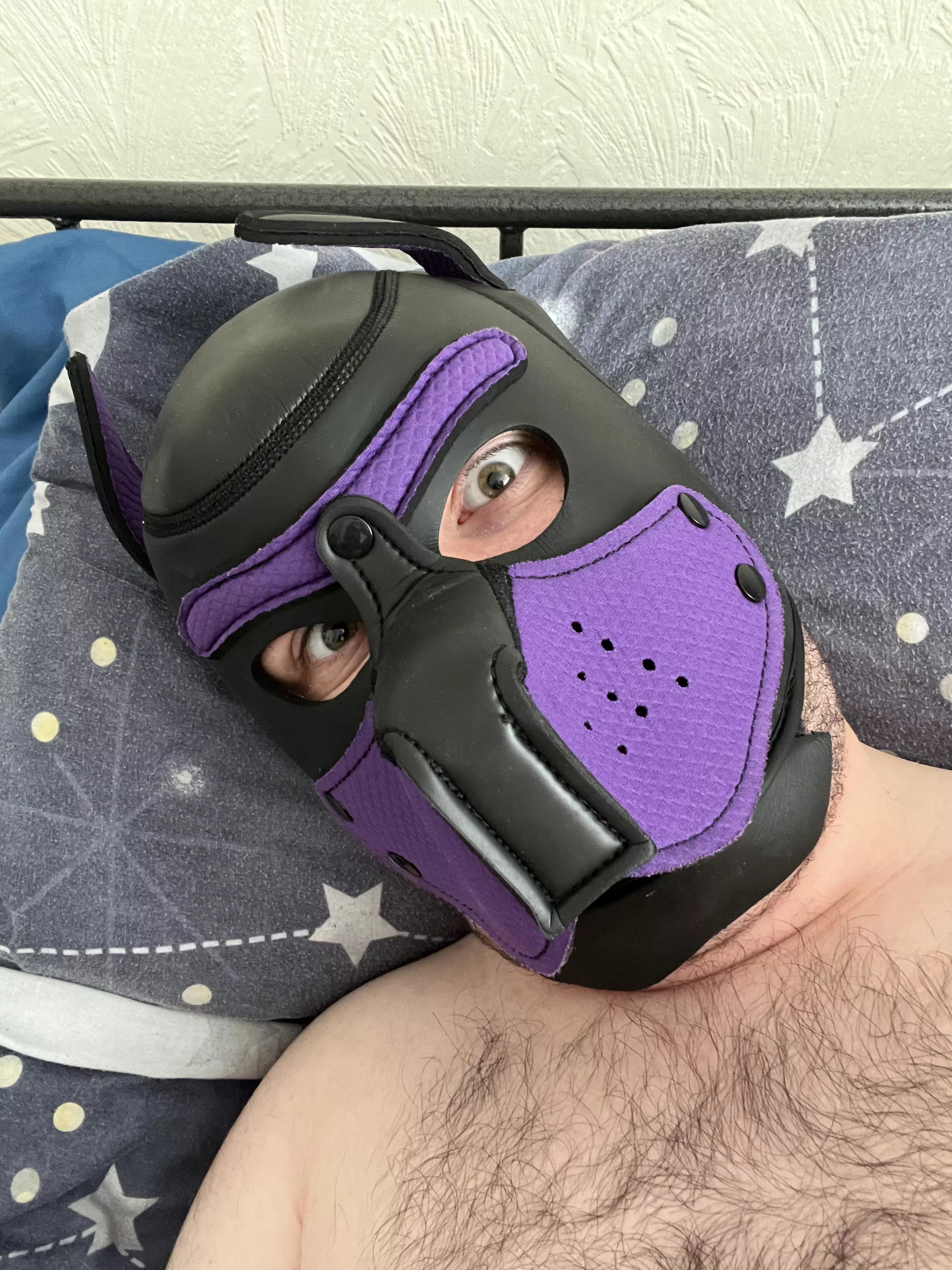 Pets? Awroo? 🐶✨