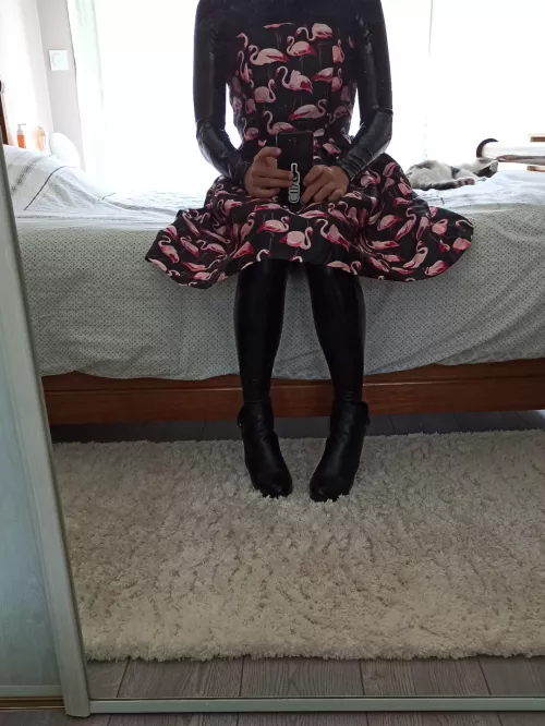 Shiny princess, with a bonus cat