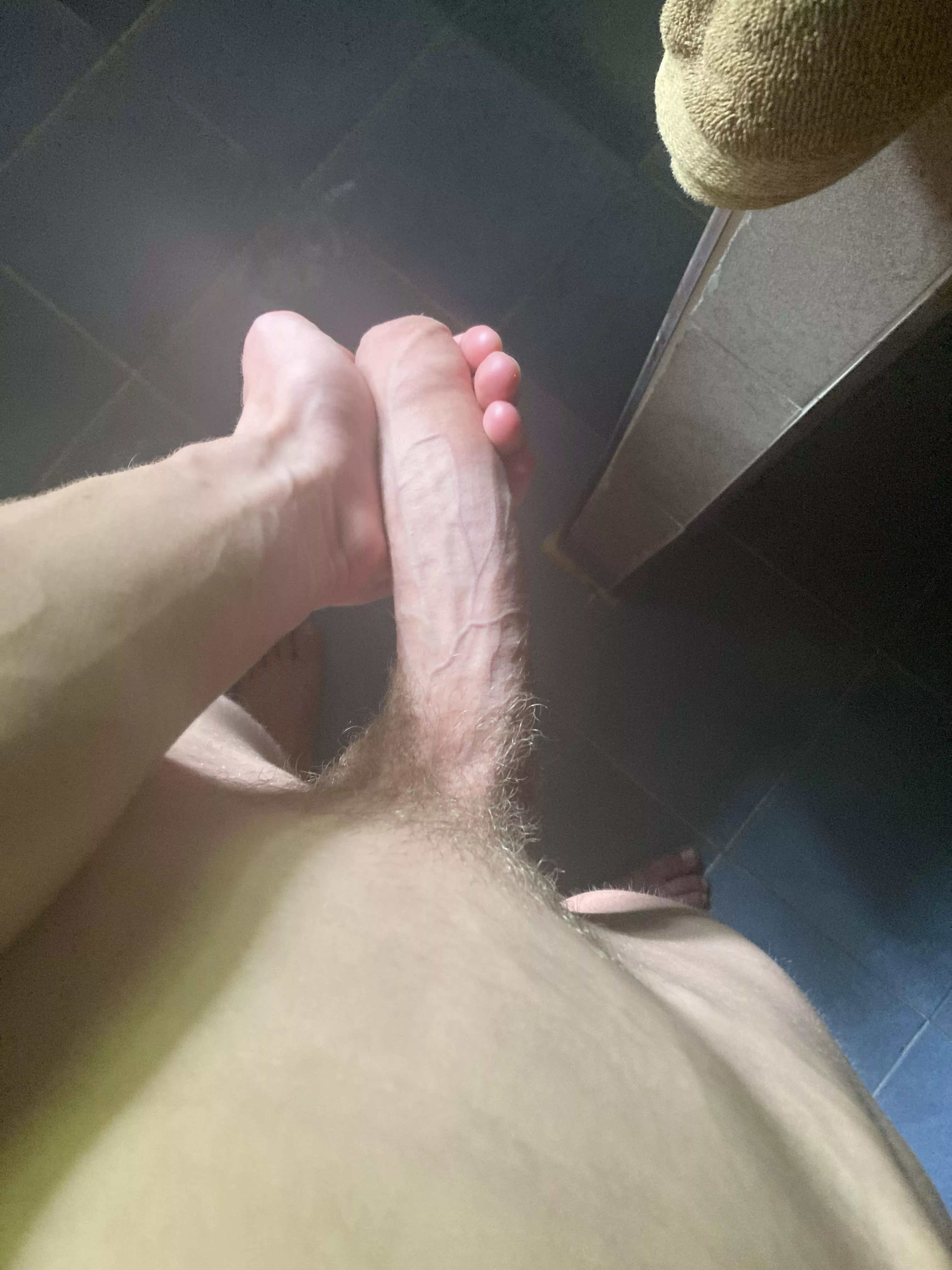Sun is shining, cock is growing