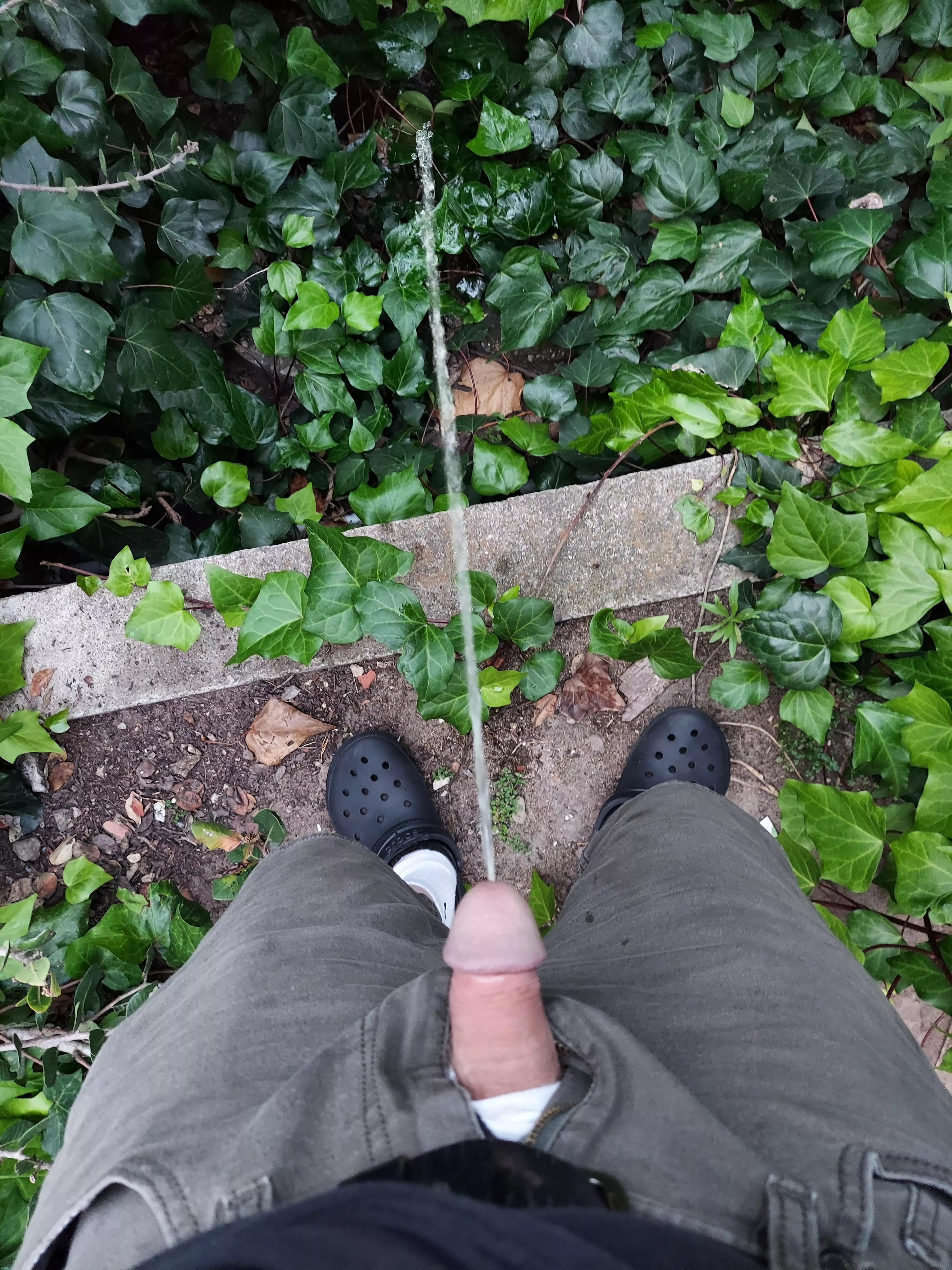 Watering the hillside at home