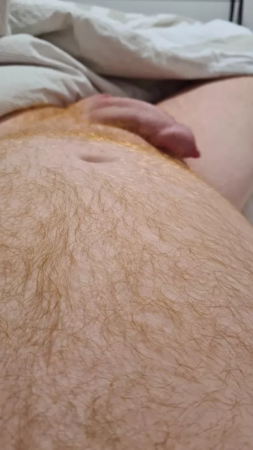 43 cuddly ginger. Who wants some?