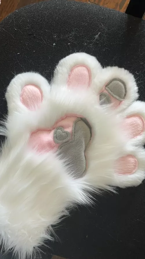 5 finger paw wip