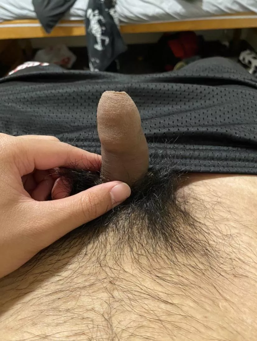 Filipino uncircumcised (20)