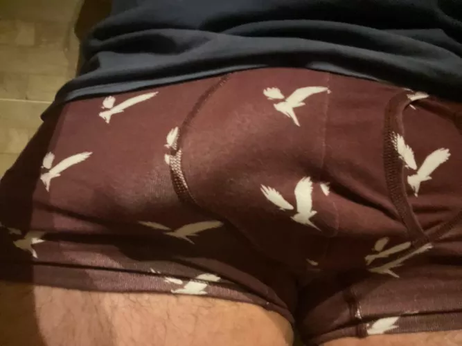 Lost in the underwear (21)