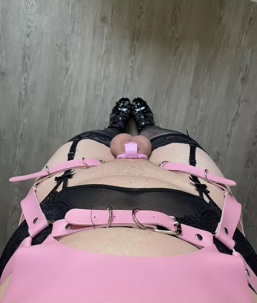 Sissy vision