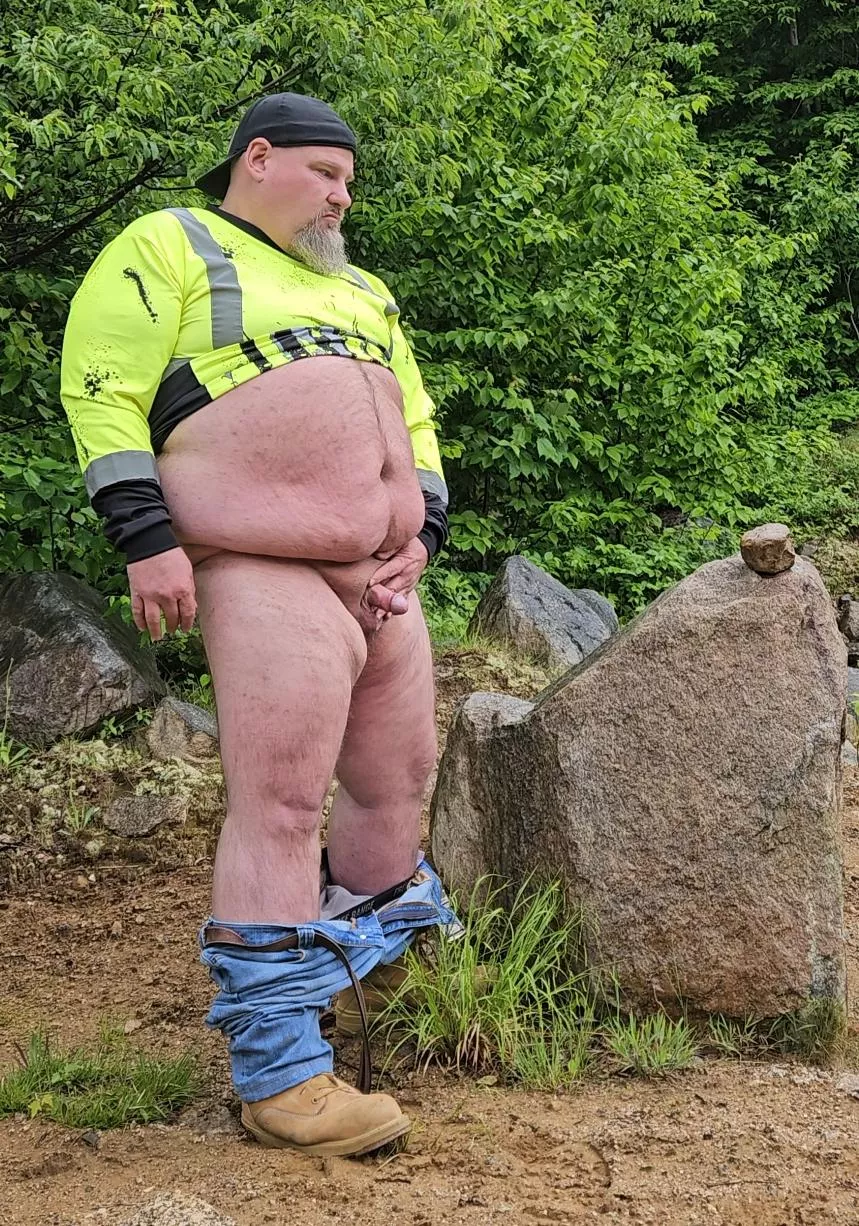 Chubby wood in the woods