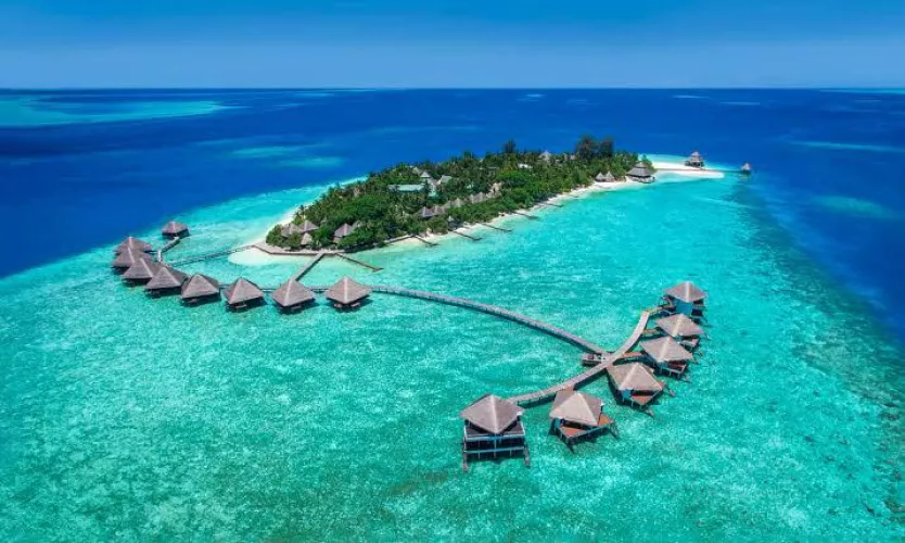 Maldives 😍
