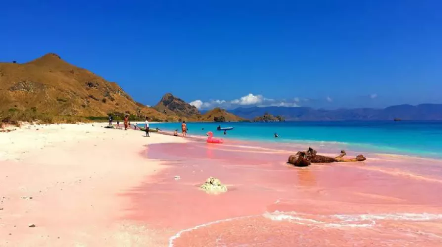 Pink beach in Indonesian 