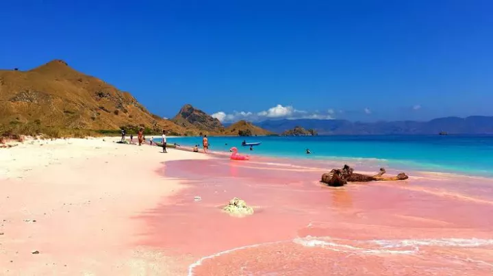 Pink beach in Indonesian 