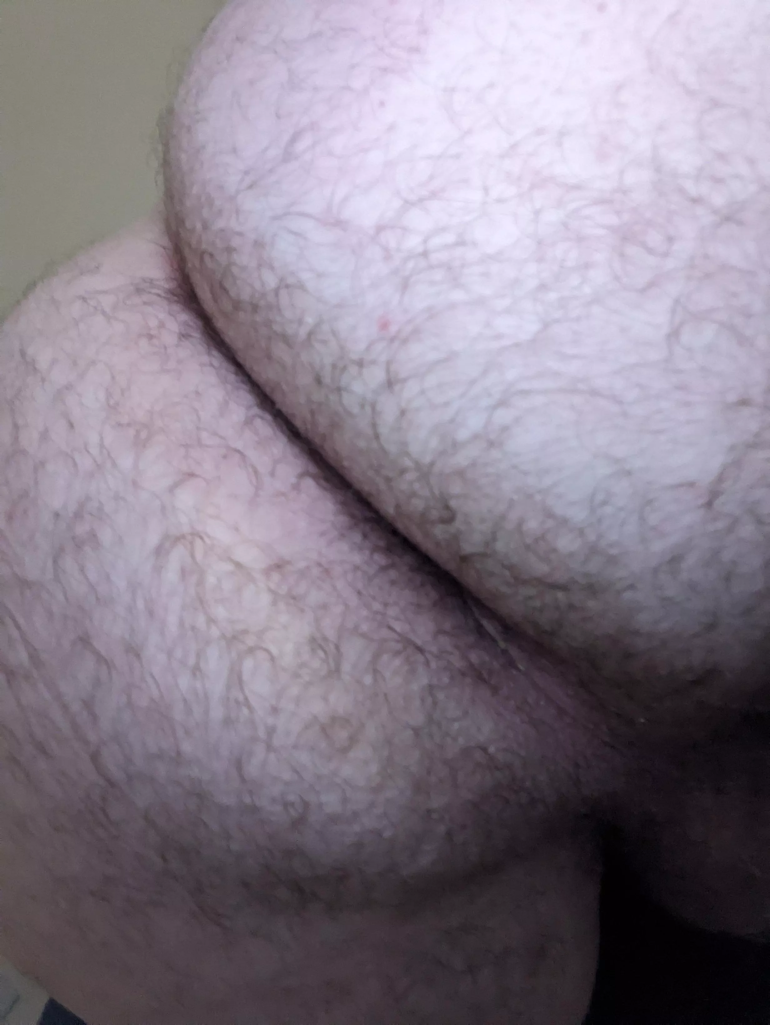 What would you do with my ass?