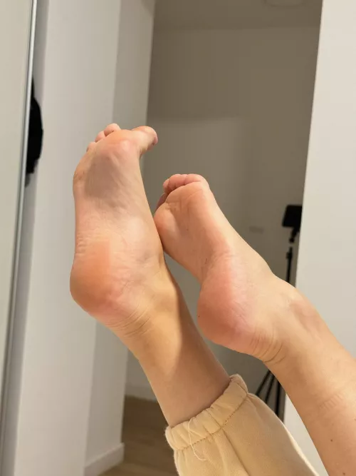 Would you like to touch them?
