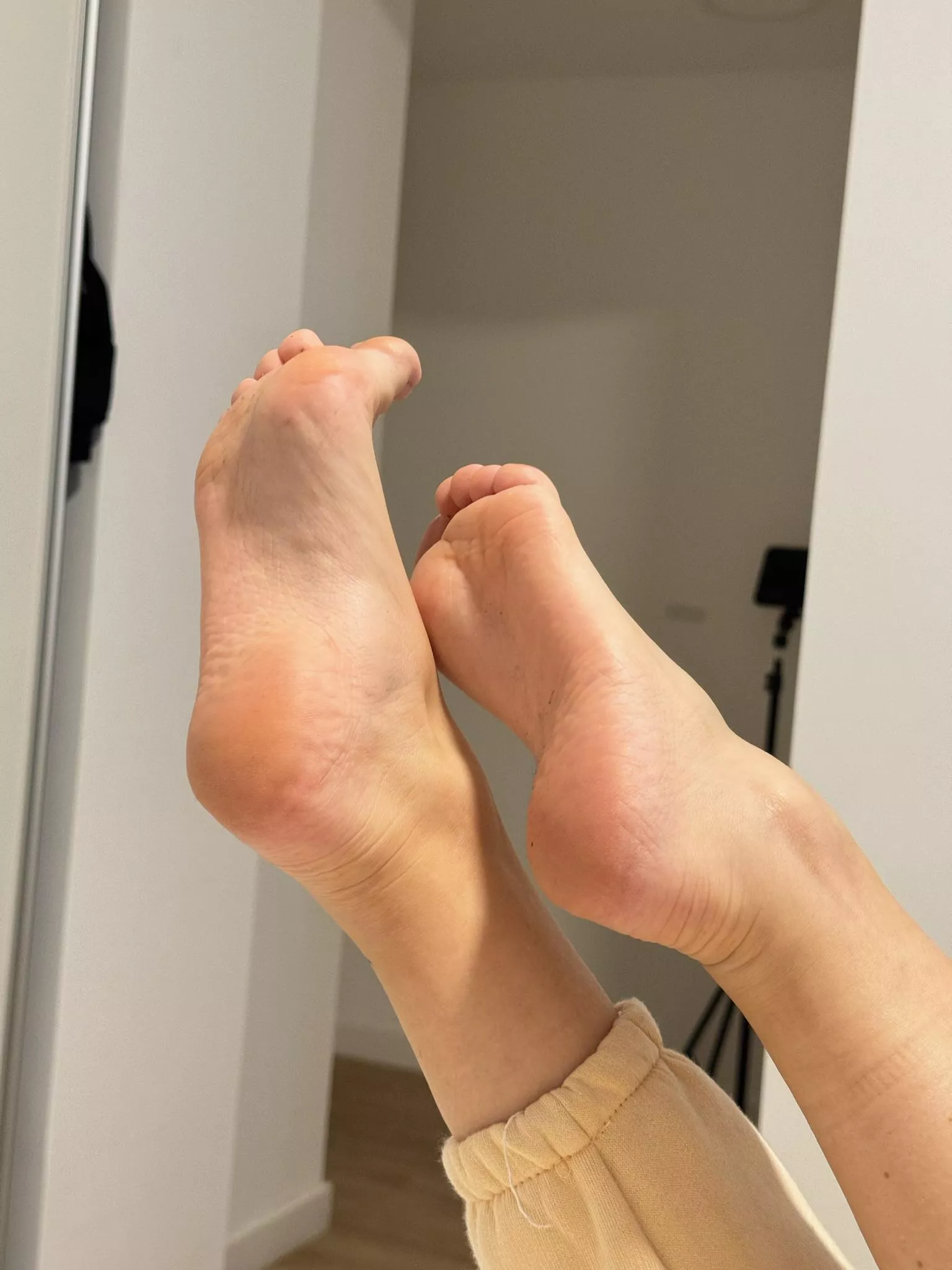 Would you like to touch them?
