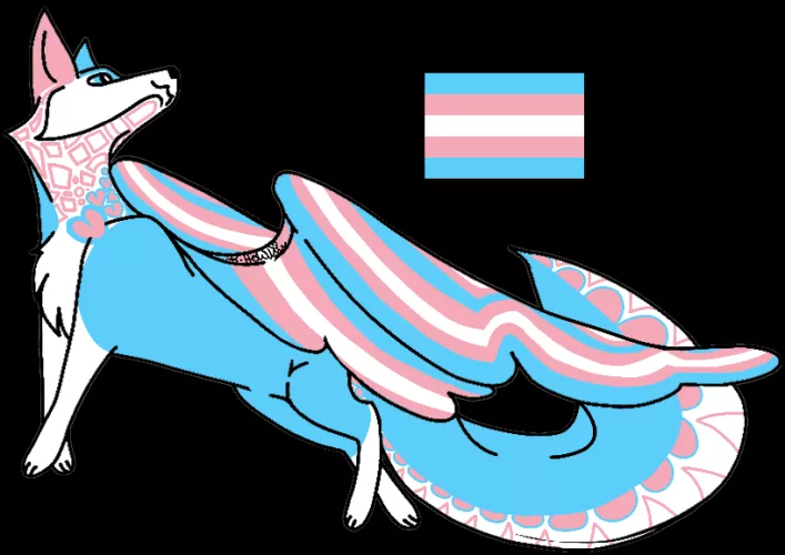 Flying fox Transgender flag