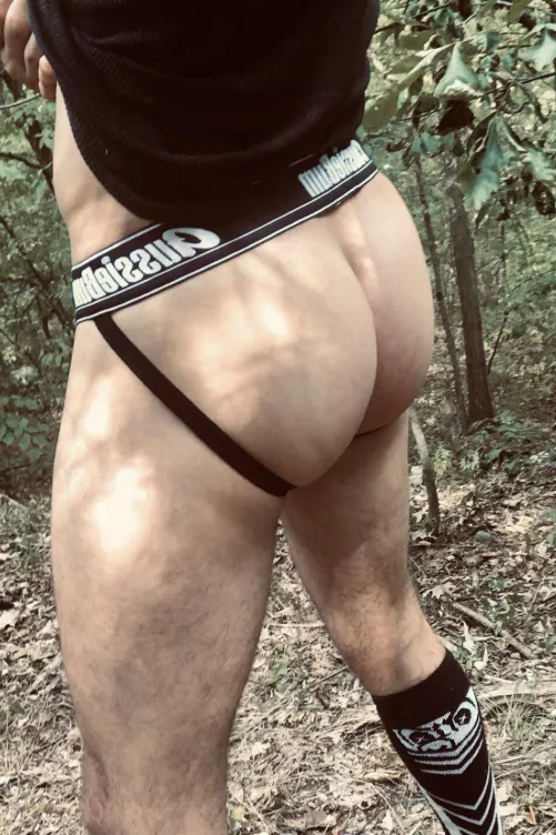 Fun Hike in the Woods