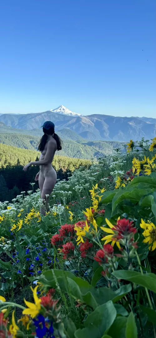 Look at those wildflowers 😍🌻🪻🌷