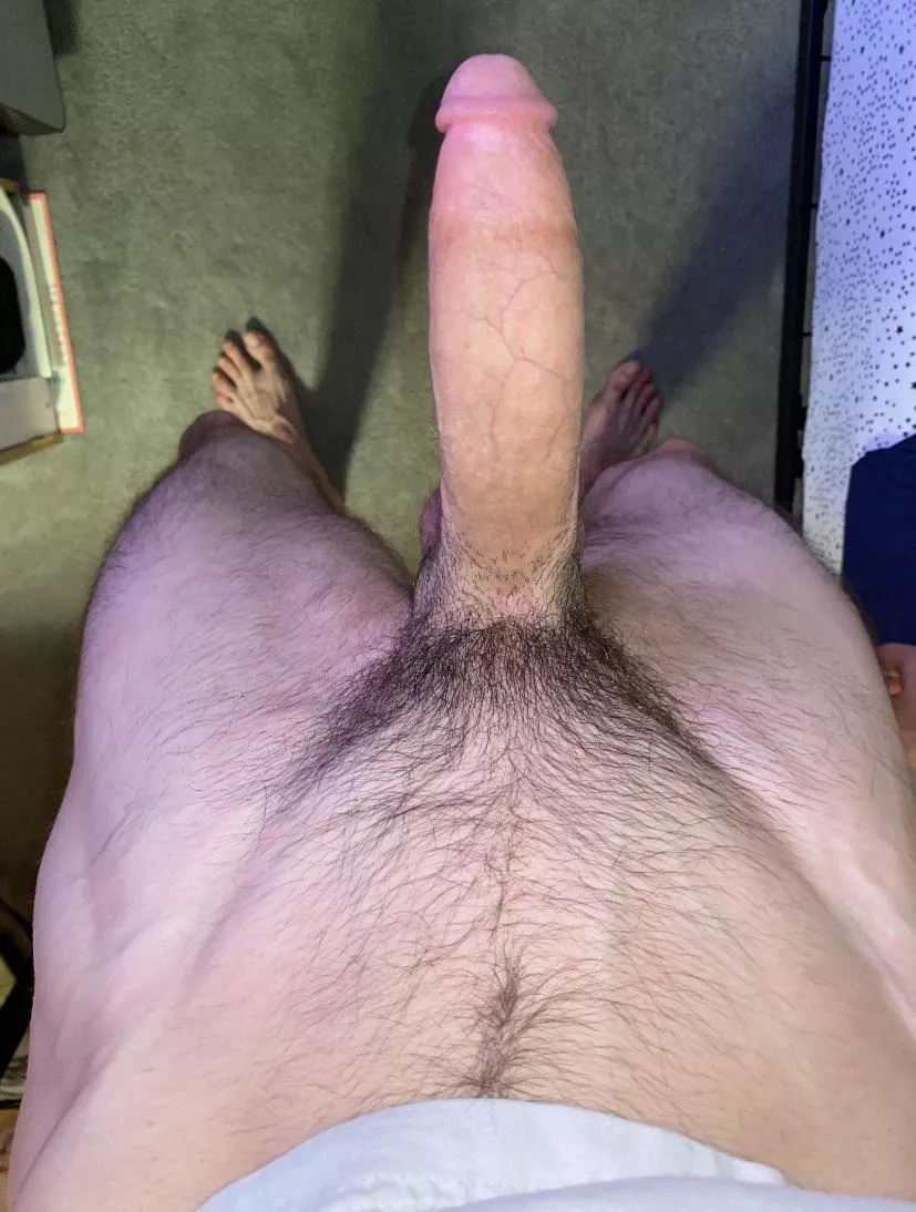 tell your bf its a “girls trip” w/ this much cock 