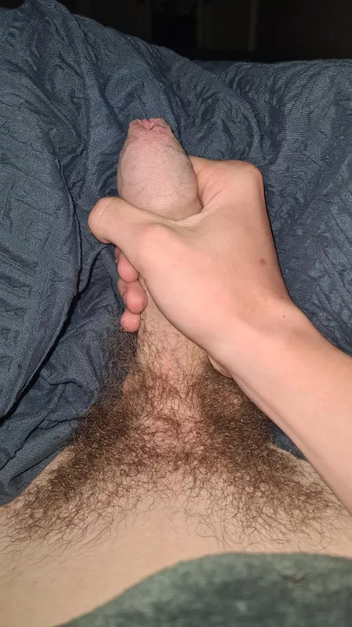 Who wants to be my bitch